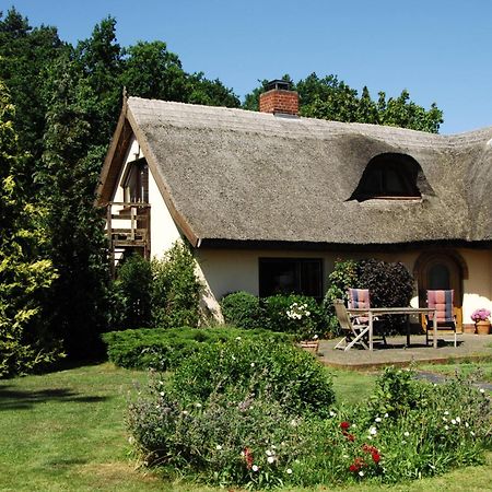 Reethaus am See - Bernstein Sellin  Exterior foto